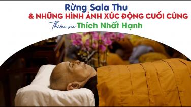 Rừng Sala Thu & Những hình ảnh xúc động cuối cùng về Thiền sư THÍCH NHẤT HẠNH