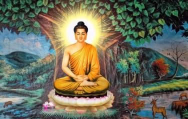 Phật không phải thần linh mà là người có tuệ giác cao siêu nhờ tu tập