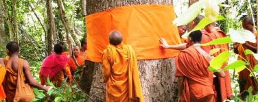 Nỗ lực của Phật giáo trong việc bảo vệ môi trường tại Thái Lan