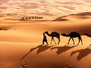 Ta có thể biến sa mạc Sahara thành nhà máy năng lượng mặt trời lớn nhất thế giới không?