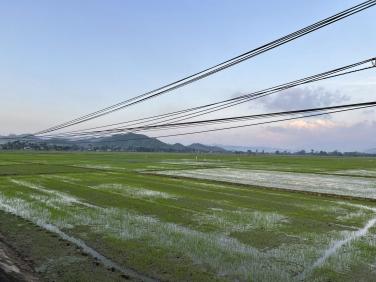 Mầm Xanh Hồi Sinh Sau Mùa Lũ