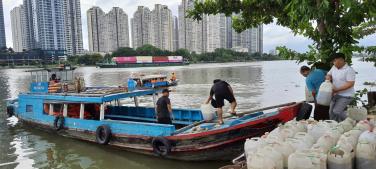 Hình ảnh định kỳ phóng sanh tháng 06Al