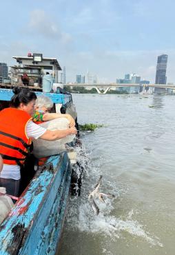 Hình ảnh định kỳ phóng sanh cứu mạng các loài thuỷ tộc ngày 19 tháng 06n (12/08/2025) của Đạo tràng chùa Bửu Đà.