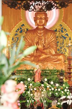 Tri Ân Người Gieo Duyên Lành